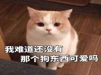 润州区理茉服装设计工作室