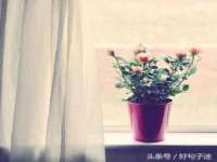 润州区理茉服装设计工作室