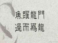 润州区理茉服装设计工作室