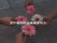 润州区理茉服装设计工作室