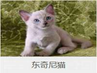 润州区理茉服装设计工作室