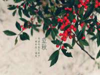 润州区理茉服装设计工作室