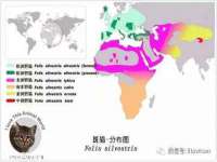 润州区理茉服装设计工作室