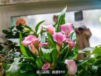 润州区理茉服装设计工作室