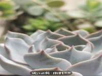 润州区理茉服装设计工作室