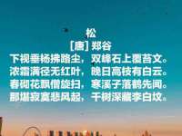 润州区理茉服装设计工作室
