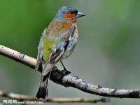 润州区理茉服装设计工作室