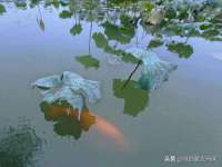 润州区理茉服装设计工作室