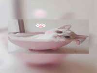 润州区理茉服装设计工作室