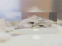 润州区理茉服装设计工作室