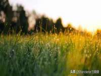 润州区理茉服装设计工作室