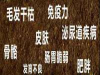 润州区理茉服装设计工作室