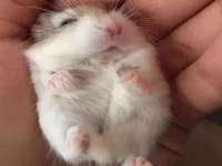 润州区理茉服装设计工作室