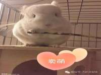 润州区理茉服装设计工作室