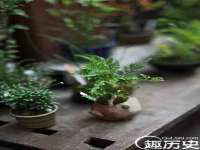 润州区理茉服装设计工作室