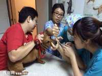 润州区理茉服装设计工作室