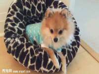 润州区理茉服装设计工作室